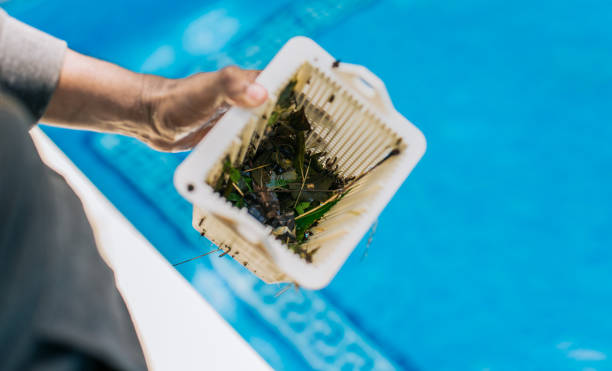 Best Estate Cleanout Services  in Valle Vista, AZ